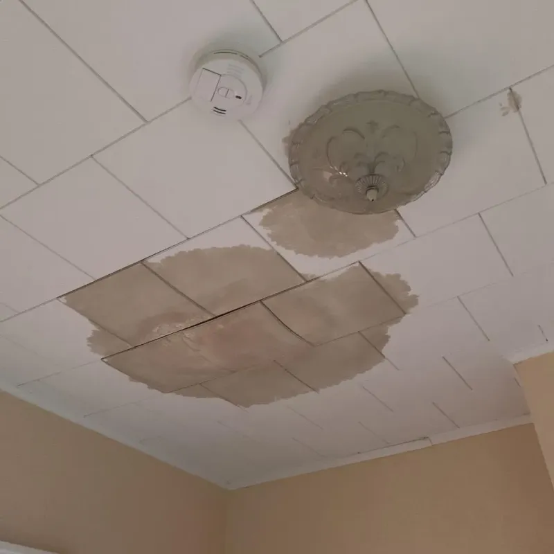 Ceiling Water Damage Repair in Burnsville, NC