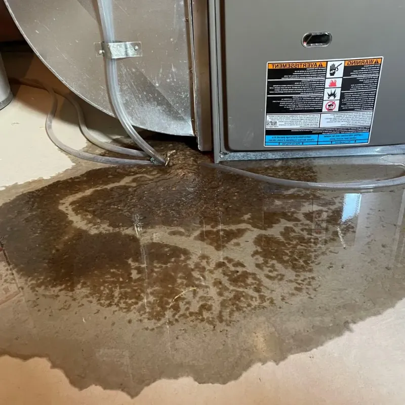 Pipe Burst and Leak Restoration in Burnsville, NC