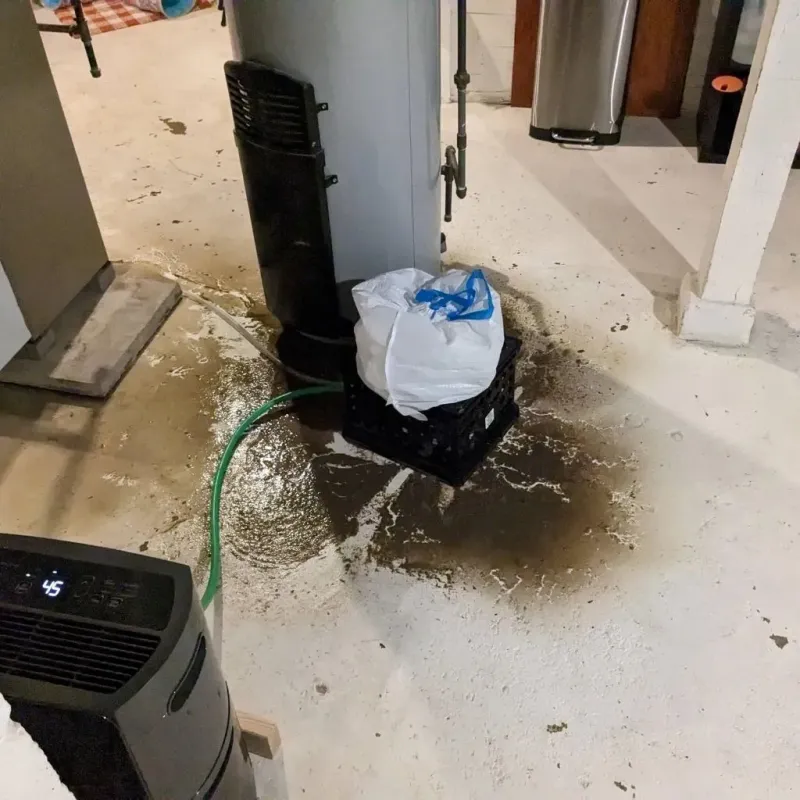 Sewage Backup Cleanup Service in Burnsville, NC